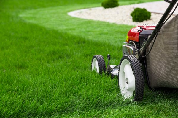 Mowing Service in Winter Park