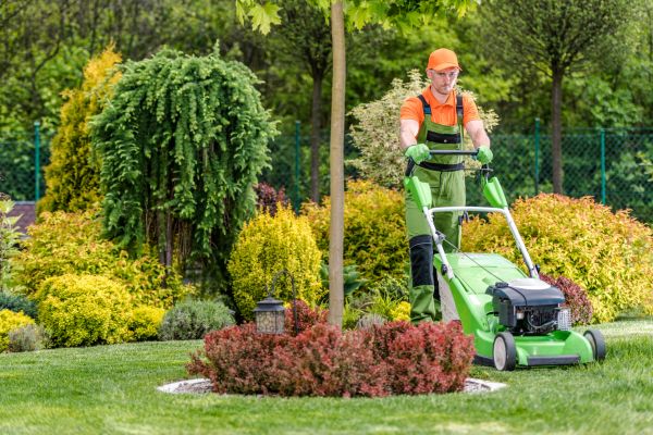 Yard Service in Winter Park