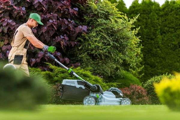 Lawn Management in Winter Park