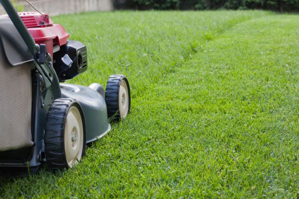 Summer Lawn Care in Winter Park