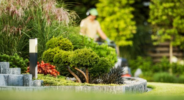 Residential Yard Maintenance in Winter Park
