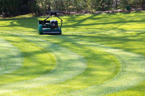 Business Lawn Mowing in Winter Park
