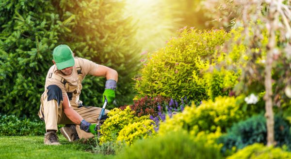 Home Garden Maintenance