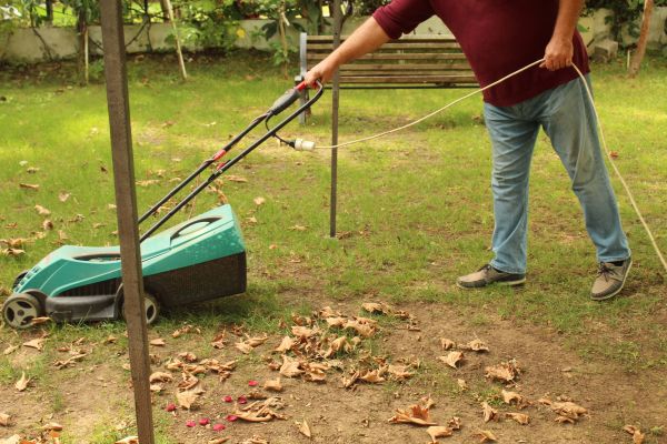 Leaves Mowing in Winter Park